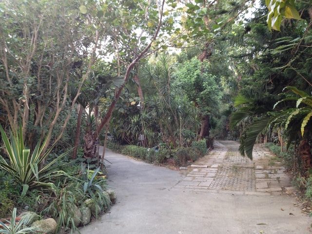 深情花園聯誼活動（2013.12.1）