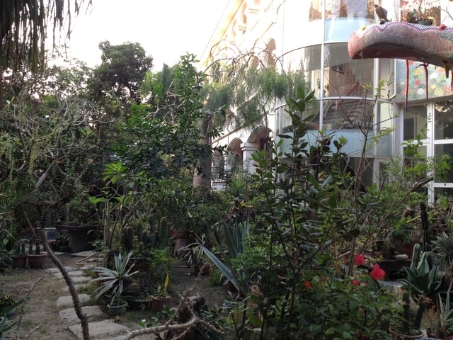 深情花園聯誼活動（2013.12.1）