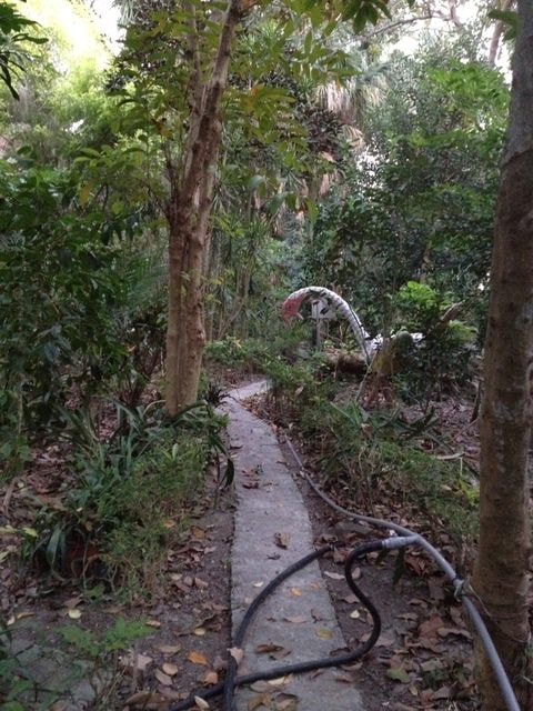 深情花園聯誼活動（2013.12.1）