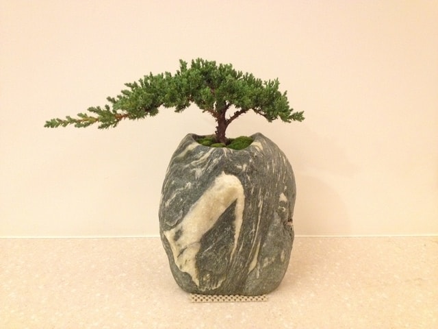 花花草草心花怒放