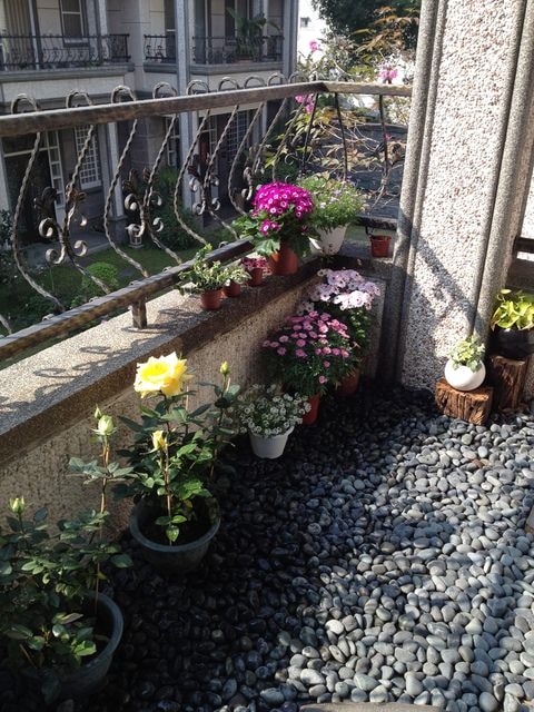 花花草草心花怒放