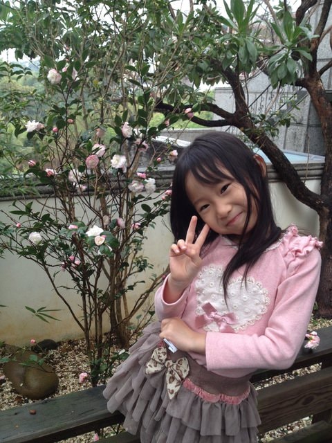 花花草草心花怒放