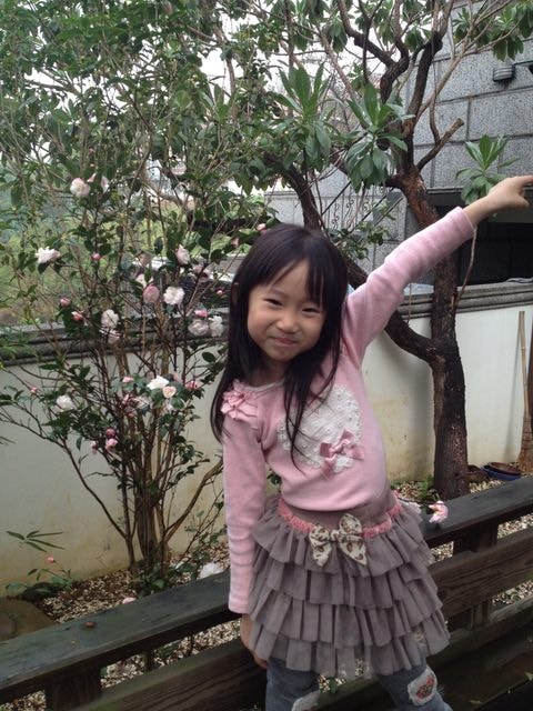 花花草草心花怒放