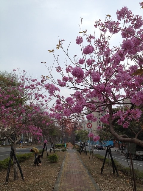 台南吃喝玩樂（2014.3.8-9）