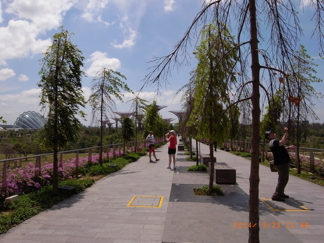 新加坡悠遊行第二天-濱海灣公園（2014.3.23）