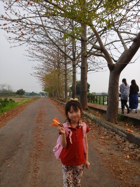 木棉花道＆寫意生活（2014.3、4月）