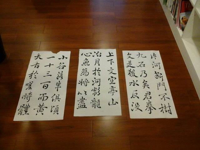 木棉花道＆寫意生活（2014.3、4月）
