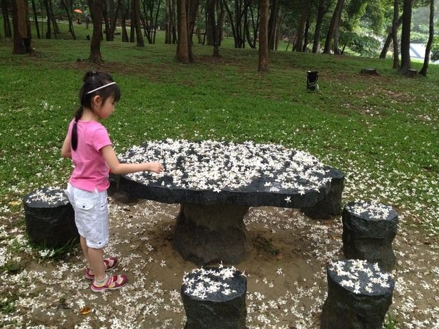 說故事比賽、巧克力雲莊、油桐花（2014.4.25）