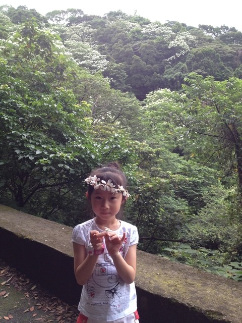 說故事比賽、巧克力雲莊、油桐花（2014.4.25）