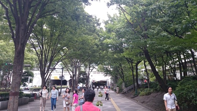 全家遊東京行第一天（2014.8.11-15)