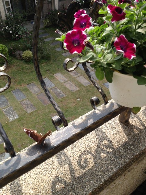 2015年的花花草草篇