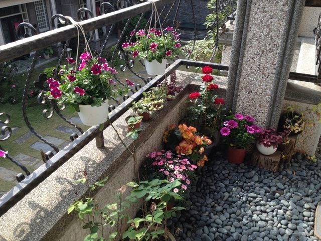 2015年的花花草草篇