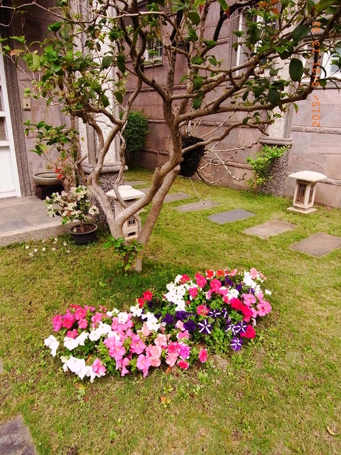 2015年的花花草草篇
