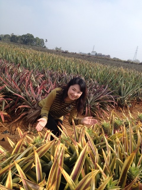 櫻前線員工旅遊之丸子也來客串篇（2015.2.3）