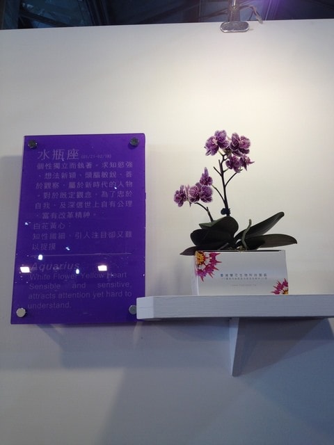 暌違多年的台灣國際蘭展（2015.3.9）