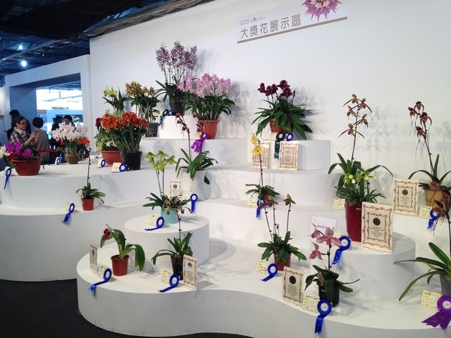 暌違多年的台灣國際蘭展（2015.3.9）