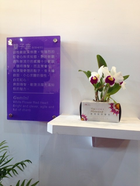 暌違多年的台灣國際蘭展（2015.3.9）