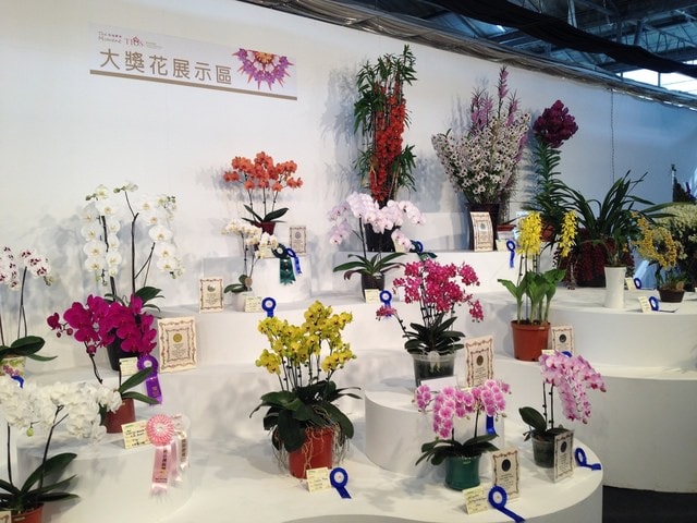 暌違多年的台灣國際蘭展（2015.3.9）
