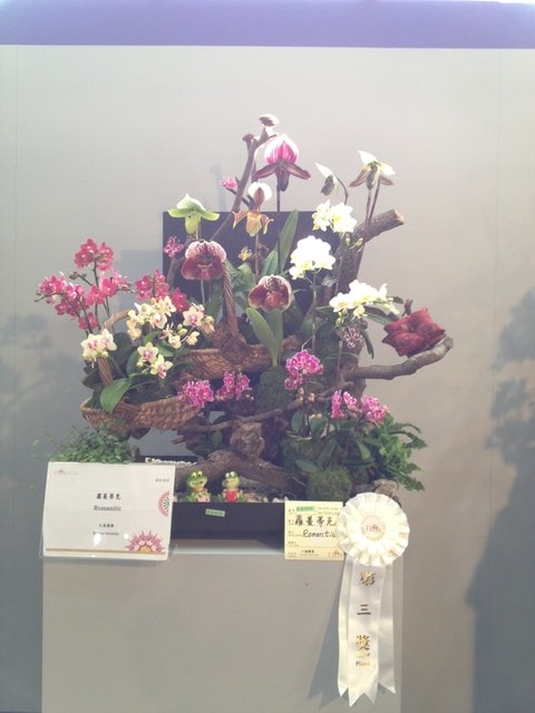 暌違多年的台灣國際蘭展（2015.3.9）