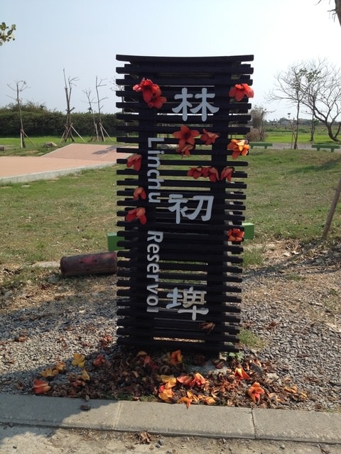 2015年白河木棉花道