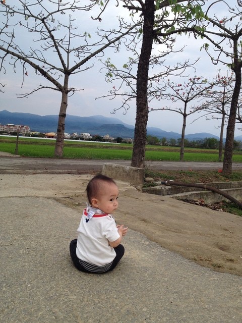 2015年白河木棉花道