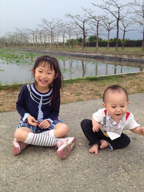 2015年白河木棉花道