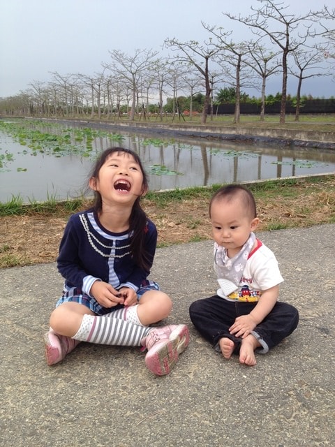 2015年白河木棉花道