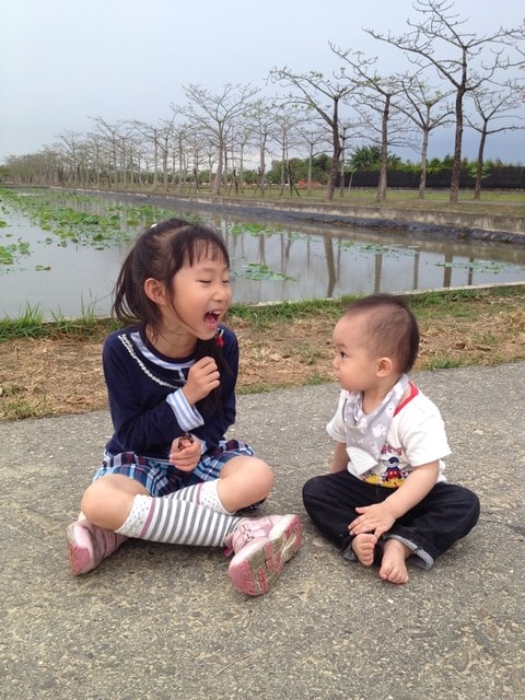 2015年白河木棉花道