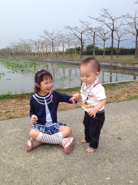 2015年白河木棉花道