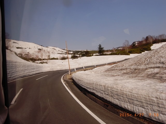 東北賞「落」櫻行（2015.4.26-30）第二天