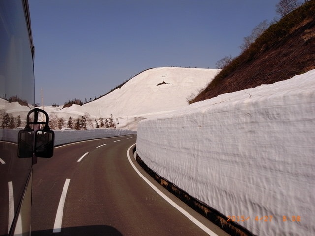 東北賞「落」櫻行（2015.4.26-30）第二天