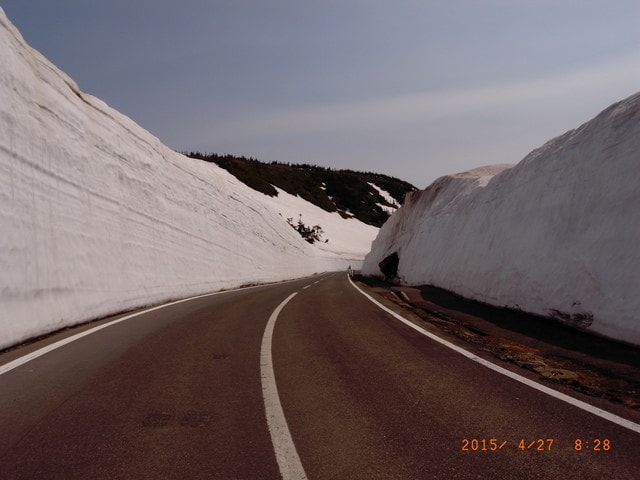 東北賞「落」櫻行（2015.4.26-30）第二天