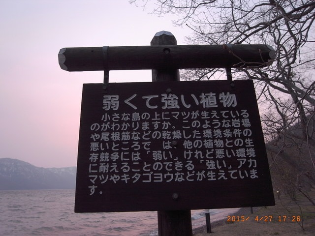 東北賞「落」櫻行（2015.4.26-30）第二天
