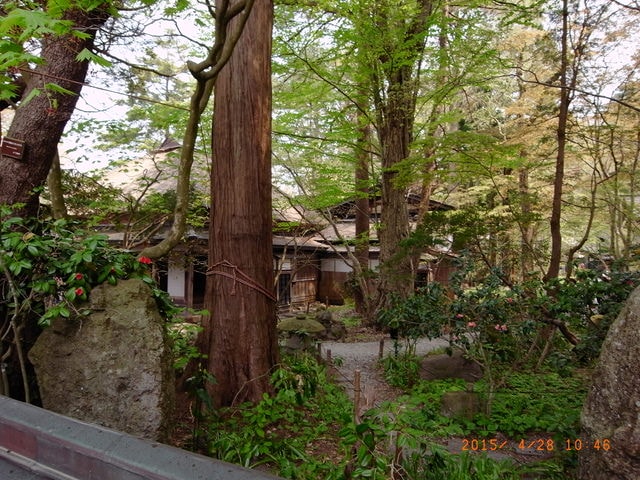 東北賞「落」櫻行第三天（2015.4.26-30）