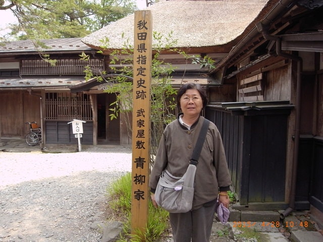 東北賞「落」櫻行第三天（2015.4.26-30）