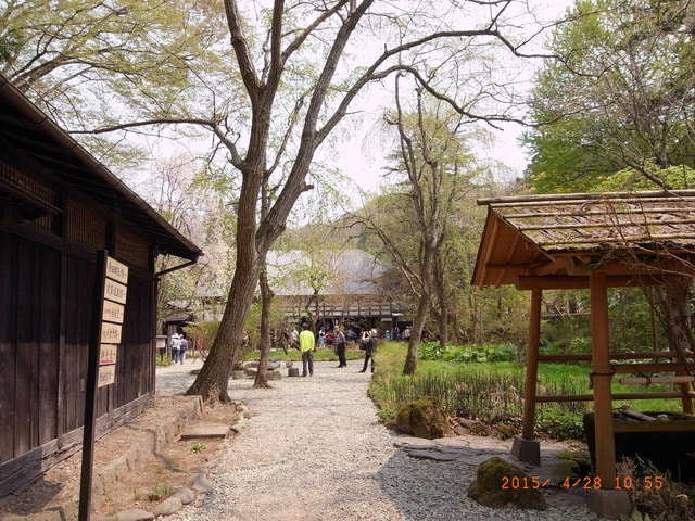 東北賞「落」櫻行第三天（2015.4.26-30）