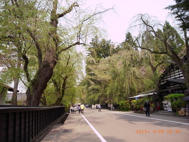 東北賞「落」櫻行第三天（2015.4.26-30）