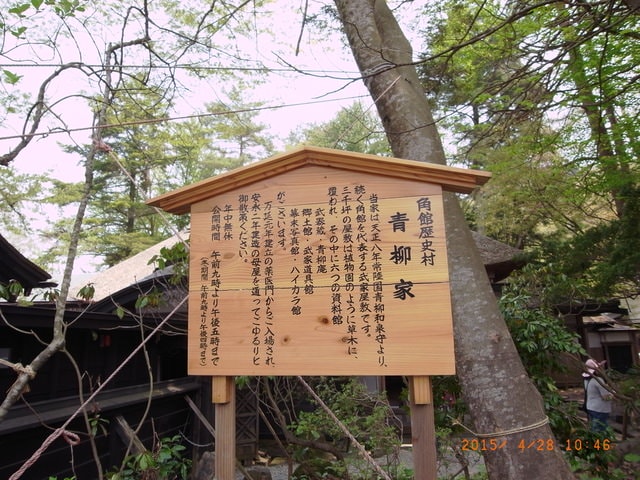東北賞「落」櫻行第三天（2015.4.26-30）