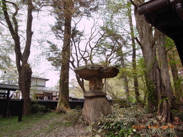 東北賞「落」櫻行第三天（2015.4.26-30）