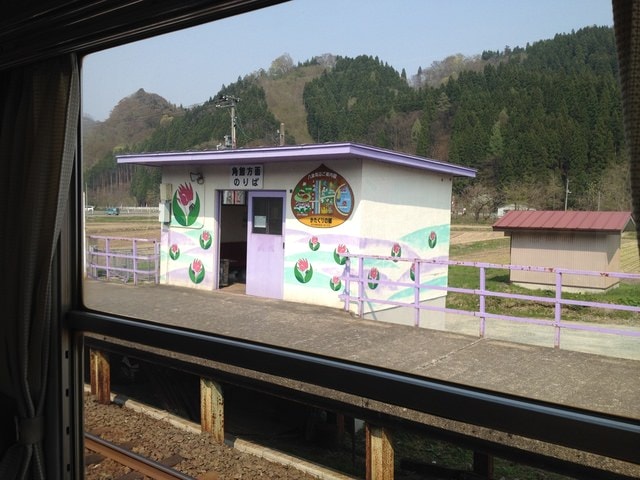 東北賞「落」櫻行第三天（2015.4.26-30）