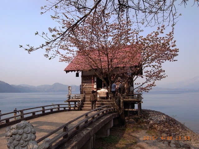 東北賞「落」櫻行第三天（2015.4.26-30）