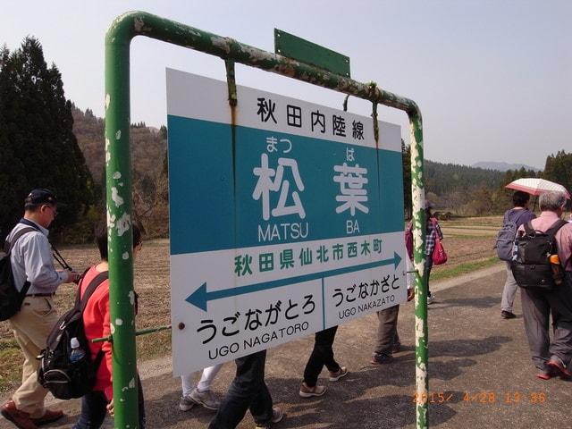 東北賞「落」櫻行第三天（2015.4.26-30）