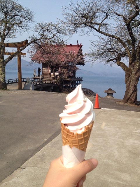 東北賞「落」櫻行第三天（2015.4.26-30）