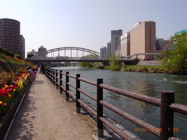 東北賞「落」櫻行第四天（2015.4.26-30）