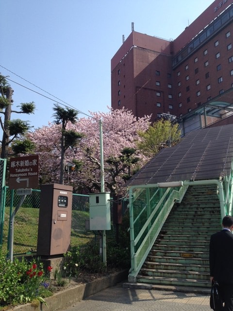 東北賞「落」櫻行第四天（2015.4.26-30）