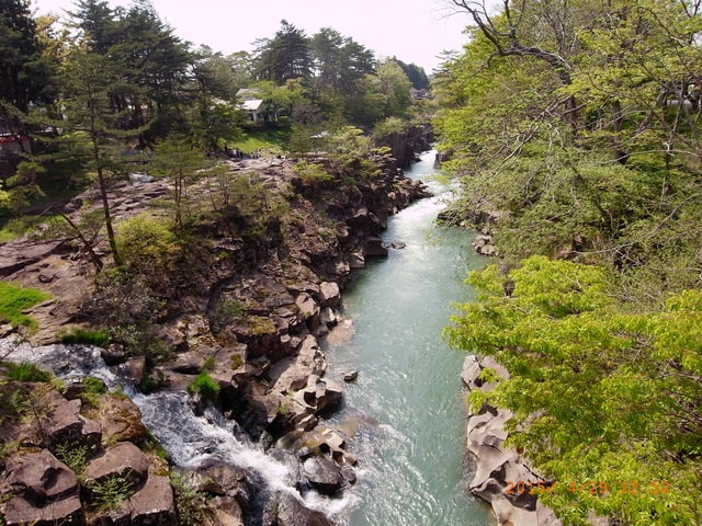 東北賞「落」櫻行第四天（2015.4.26-30）