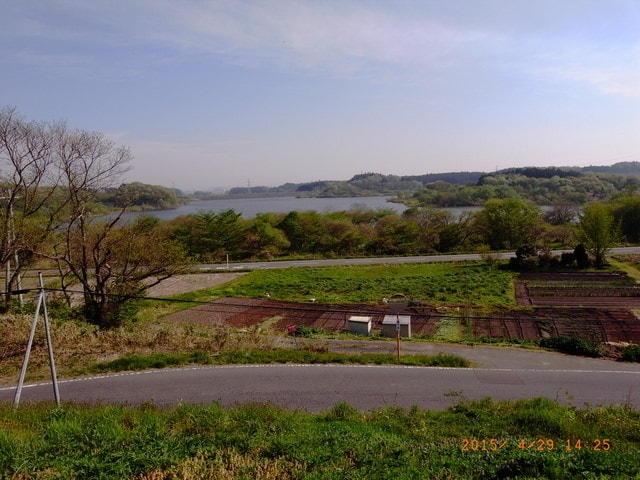 東北賞「落」櫻行第四天（2015.4.26-30）