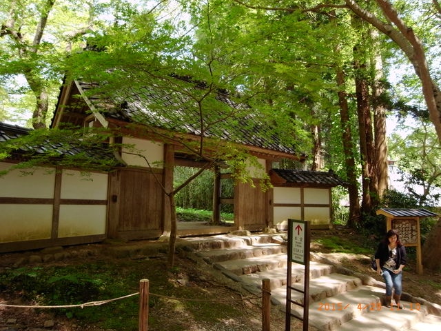 東北賞「落」櫻行第四天（2015.4.26-30）