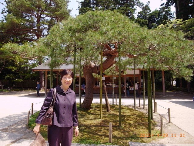 東北賞「落」櫻行第四天（2015.4.26-30）