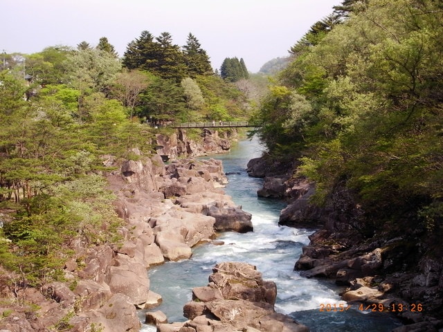 東北賞「落」櫻行第四天（2015.4.26-30）